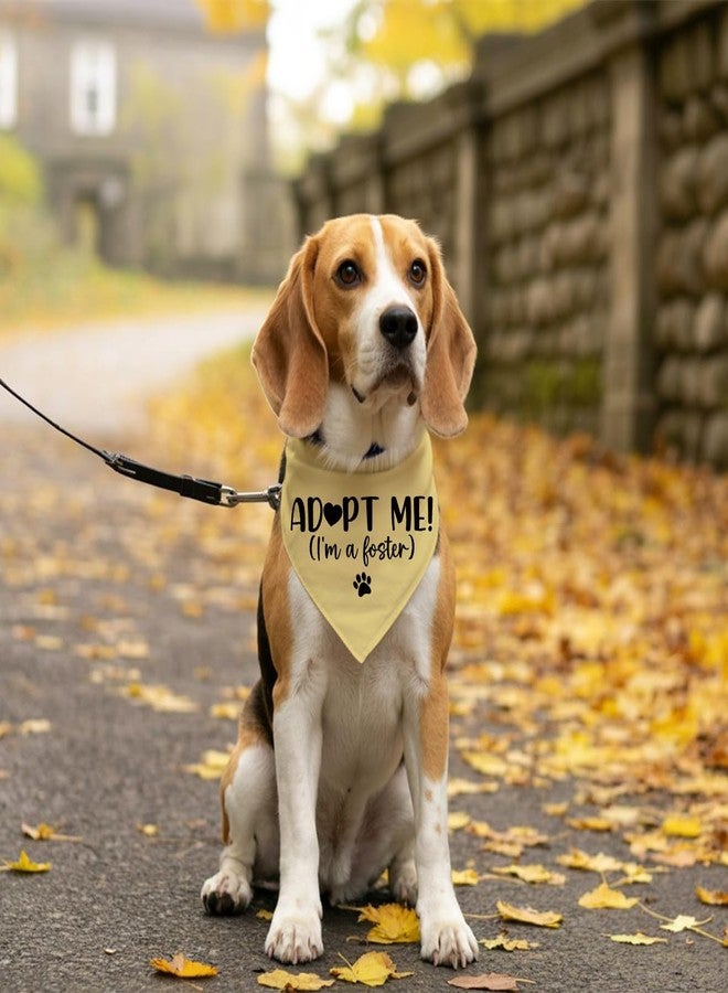 ZPPRJF Adopt Me I'm a Foster Dog Bandana, Adopted Puppy Bandana Baby Dog Announcement Tie on Scarf, Yellow Dogs Bandanas, Pet Scarf Accessories for Small Medium Dogs Cats Photo Prop - Image 5